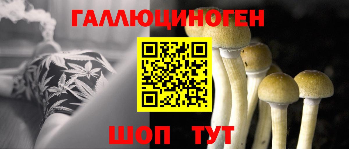 Галлюциногенные грибы мухоморы  Галлюциногенные грибы Psilocybine cubensis  Вход с VPN  цены   Стрежевой 